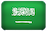 Saudi Arabia Flag